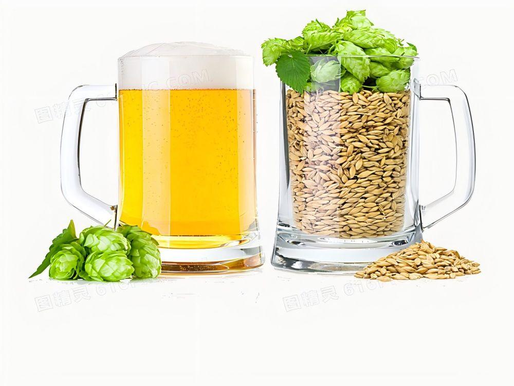 The Kettle Tun: The Indispensable Brewery Equipment That Brings Beer to Life
